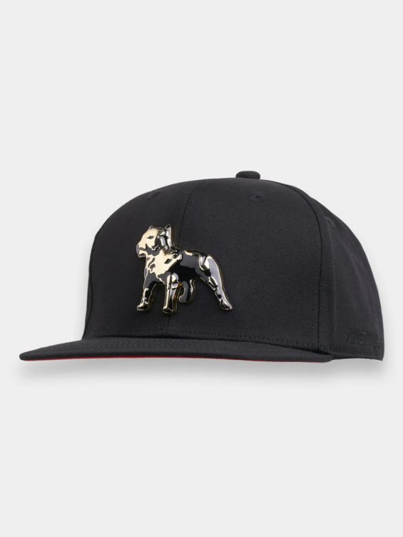 Snapback Amstaff Icon